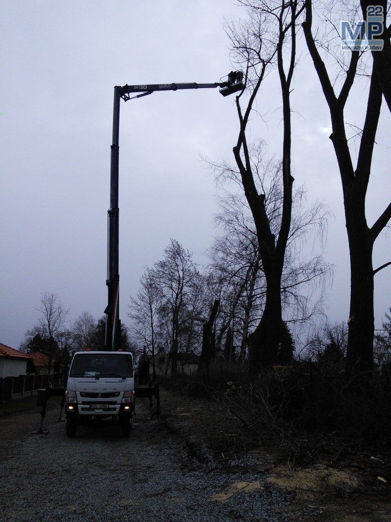 kácení stromů 30 metrů